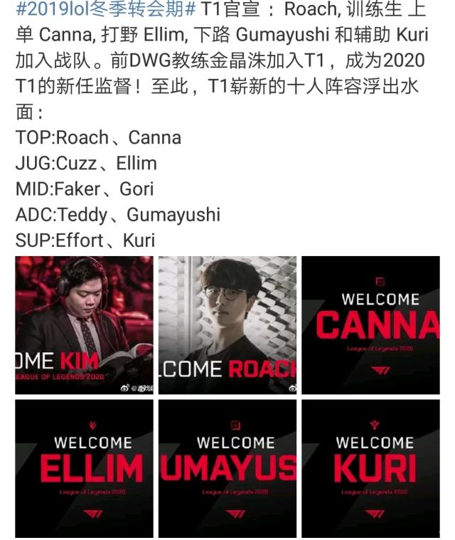 质量训练 质量训练